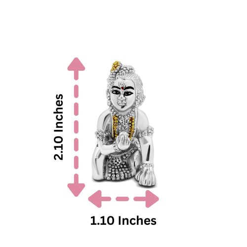 999 Pure Silver Laddu Gopal Idol